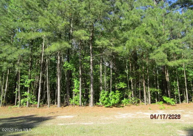 Photo 2 of Land for sale at 47 Boshers Point Dr, Hertford, NC 27944 | MLS# 100568352 | Listing updated on 2026-09-21
