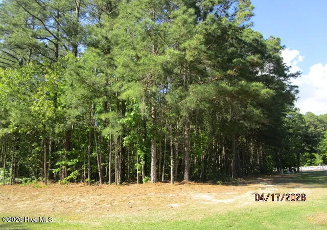 Photo 3 of Land for sale at 47 Boshers Point Dr, Hertford, NC 27944 | MLS# 100568352 | Listing updated on 2026-09-21