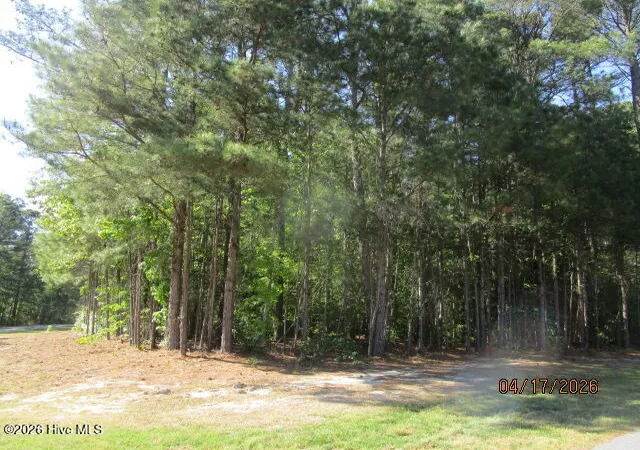 Photo 3 of Land for sale at 47 Boshers Point Dr, Hertford, NC 27944 | MLS# 100568352 | Listing updated on 2026-09-21