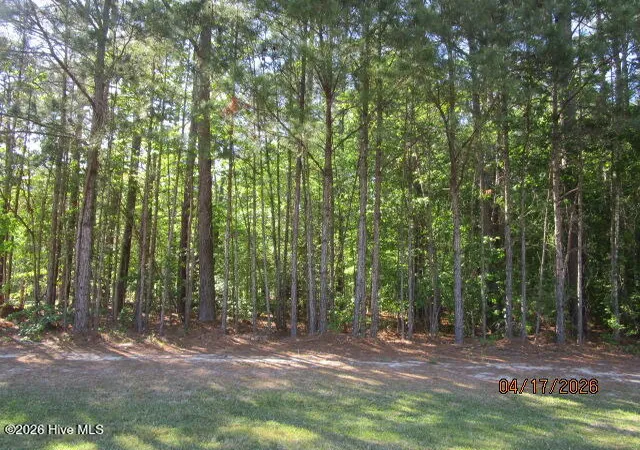Photo 4 of Land for sale at 47 Boshers Point Dr, Hertford, NC 27944 | MLS# 100568352 | Listing updated on 2026-09-21