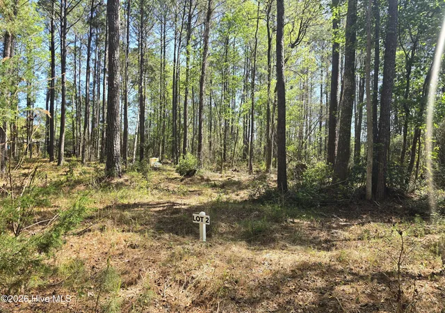 2nd image of Lot 2 Renee Dr, Hampstead, NC 28443 | MLS# 100567011