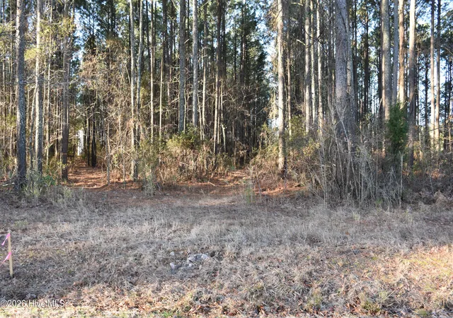 4th image of 97 Mcgowan Rd, Bath, NC 27808 | MLS# 100556062