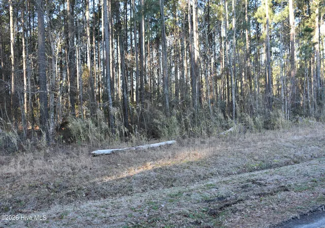 5th image of 97 Mcgowan Rd, Bath, NC 27808 | MLS# 100556062