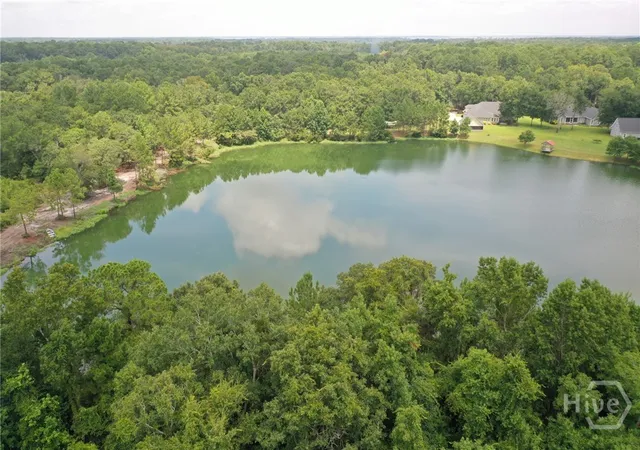 35th image of 1954 Oak Level Rd, Richmond Hill, GA 31324 | MLS# SA362173