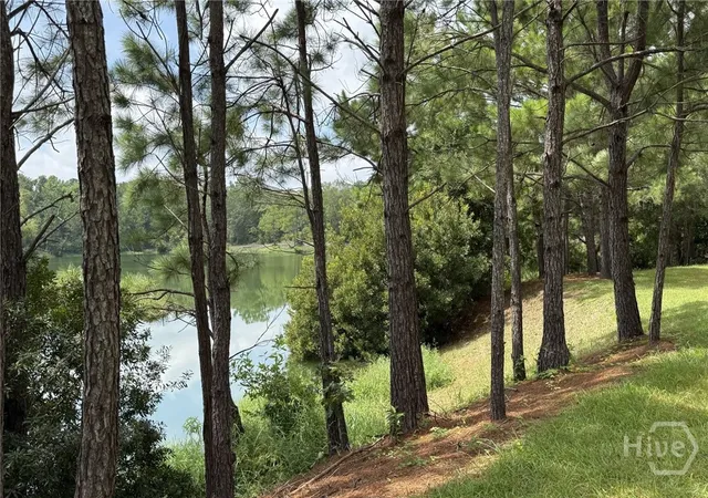 Photo 4 of Land for sale at 1954 Oak Level Rd, Richmond Hill, GA 31324 | MLS# SA362173 | Listing updated on 2026-10-10