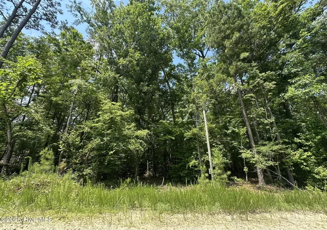 1st image of Lot 17 Lakeshore Estates Dr, Lincolnton, GA 30817 | MLS# 100581081