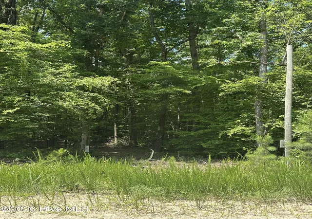 Photo 2 of Land for sale at Lot 17 Lakeshore Ests Dr, Lincolnton, GA 30817 | MLS# 100581081 | Listing updated on 2026-10-22