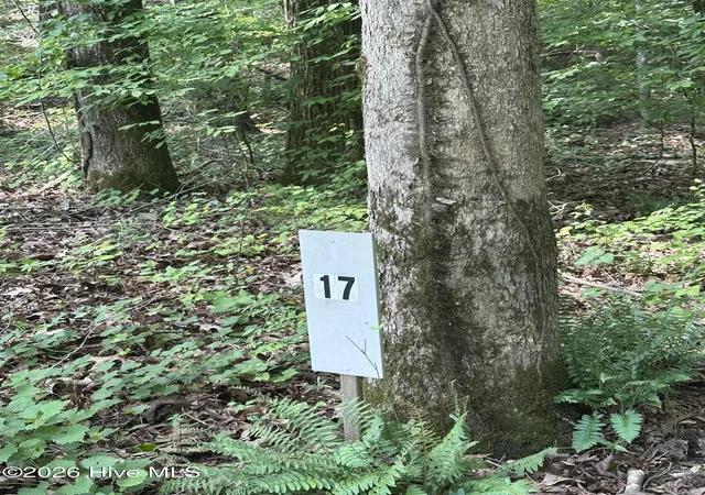 Photo 3 of Land for sale at Lot 17 Lakeshore Ests Dr, Lincolnton, GA 30817 | MLS# 100581081 | Listing updated on 2026-10-22