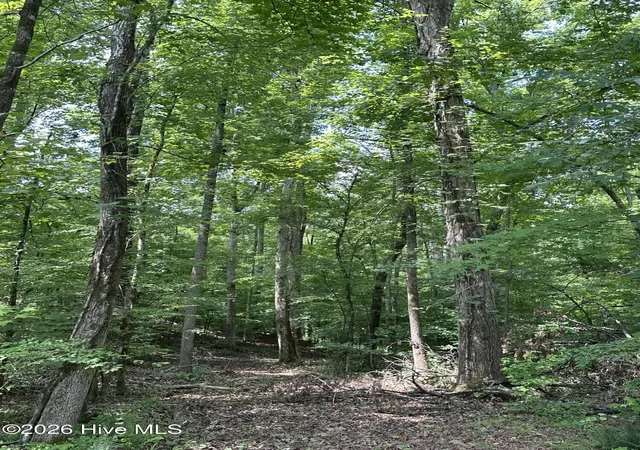 Photo 4 of Land for sale at Lot 17 Lakeshore Ests Dr, Lincolnton, GA 30817 | MLS# 100581081 | Listing updated on 2026-10-22