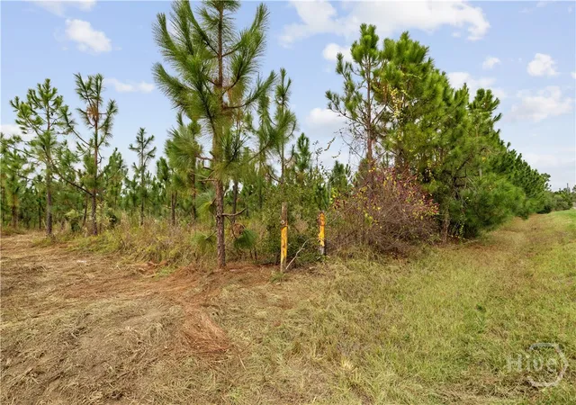 Homes for sale in Soperton, GA | 0 Hwy 297 - Tract 2 & 3, Soperton, GA 30457 | MLS# SA343288