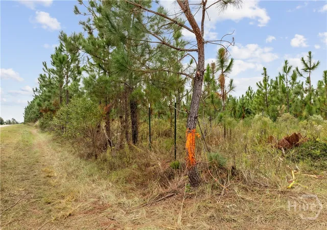 Homes for sale in Soperton, GA | 0 Hwy 297 - Tract 2 & 3, Soperton, GA 30457 | MLS# SA343288