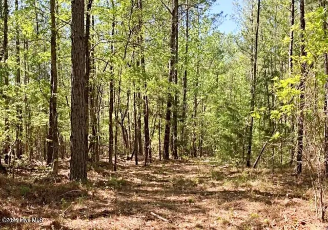 Photo 2 of Land for sale at 6630 Washington Rd, Appling, GA 30802 | MLS# 100593616 | Listing updated on 2026-08-18