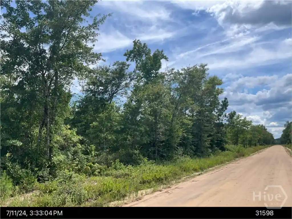Photo 1 of Land for sale at 1 Ralph Rahn Rd, Rincon, GA 31326 | MLS# SA366013 | Listing updated on 2026-10-06