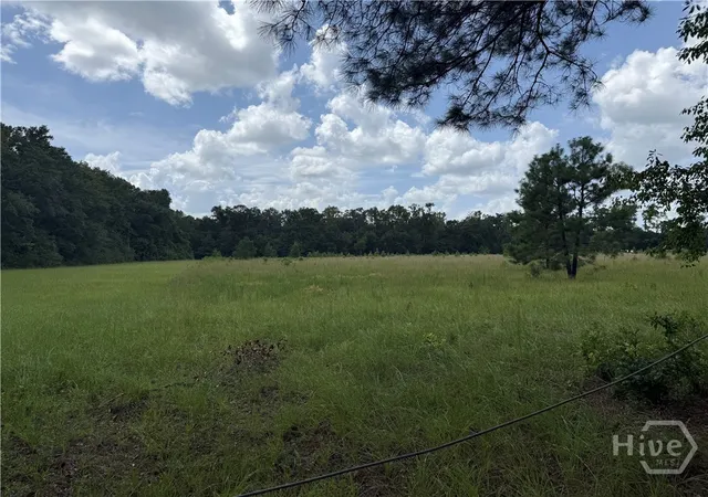 2nd image of 00 Toni Branch Rd, Ellabell, GA 31308 | MLS# SA362340