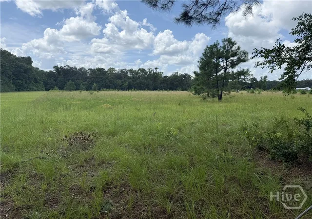 Photo 3 of Land for sale at 00 Toni Branch Rd, Ellabell, GA 31308 | MLS# SA362340 | Listing updated on 2026-08-18