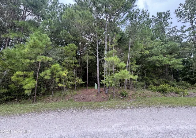 Photo 3 of Land for sale at 4110 Arabian Way SW, Shallotte, NC 28470 | MLS# 100585540 | Listing updated on 2026-07-02