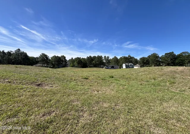 Homes for sale in Vass, NC | 568 Bald Eagle Dr, Vass, NC 28394 | MLS# 100572683