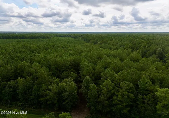 Photo 2 of Land for sale at 0 Cupelo Rd, Walstonburg, NC 27888 | MLS# 100599635 | Listing updated on 2026-09-22