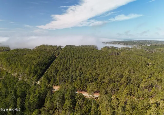 Photo 2 of Land for sale at Lot 7 Sandy Point Rd, Sladesville, NC 27875 | MLS# 100493193 | Listing updated on 2026-08-11