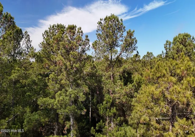 Photo 4 of Land for sale at Lot 7 Sandy Point Rd, Sladesville, NC 27875 | MLS# 100493193 | Listing updated on 2026-08-11