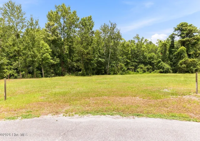 5th image of 27 Big Crk Cir, Lake Waccamaw, NC 28450 | MLS# 100590938