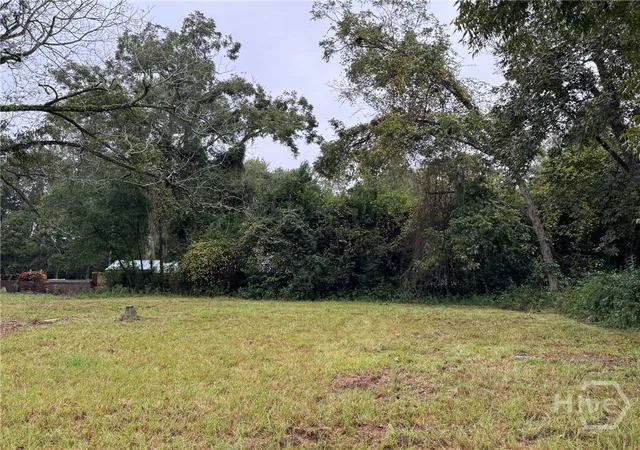 Homes for sale in Statesboro, GA | 711 W Grady St, Statesboro, GA 30458 | MLS# SA341801