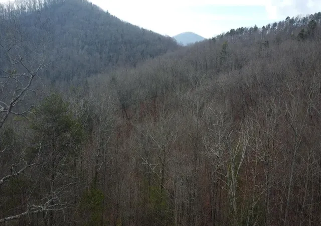 Photo 1 of Land for sale at 300 Jernigan Ct, Murphy, NC 28906 | MLS# 98500765 | Listing updated on 2026-07-31