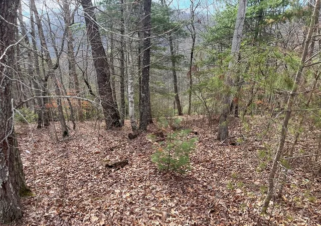 Photo 3 of Land for sale at 300 Jernigan Ct, Murphy, NC 28906 | MLS# 98500765 | Listing updated on 2026-07-31