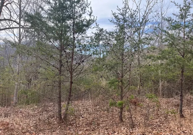 Photo 3 of Land for sale at 300 Jernigan Ct, Murphy, NC 28906 | MLS# 98500765 | Listing updated on 2026-07-31