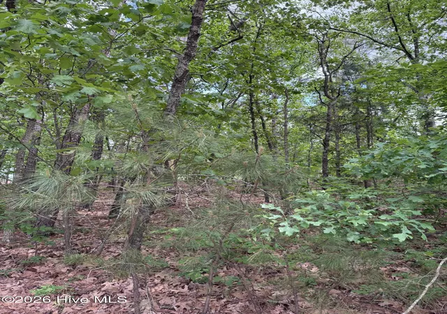 Homes for sale in Seven Lakes, NC | 148 Otter Dr, Seven Lakes, NC 27376 | MLS# 100570786