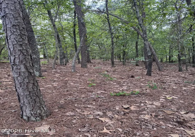 Homes for sale in Seven Lakes, NC | 148 Otter Dr, Seven Lakes, NC 27376 | MLS# 100570786
