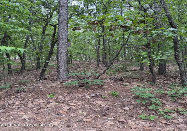 Homes for sale in Seven Lakes, NC | 148 Otter Dr, Seven Lakes, NC 27376 | MLS# 100570786