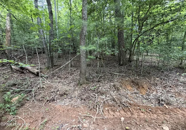 Photo 2 of Land for sale at 585 Ac Emory Shield Rd, Murphy, NC 28906 | MLS# 100595985 | Listing updated on 2026-08-14