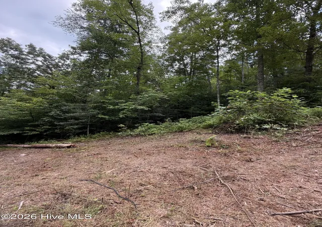 Photo 3 of Land for sale at 585 Ac Emory Shield Rd, Murphy, NC 28906 | MLS# 100595985 | Listing updated on 2026-08-14