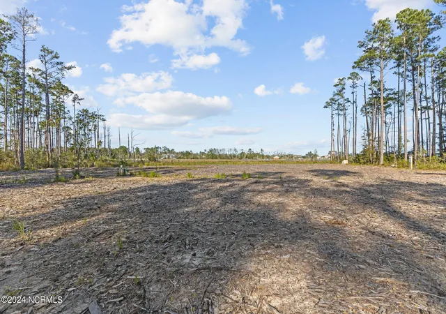 Photo 4 of Land for sale at 280 Donnie Davis Rd, Smyrna, NC 28579 | MLS# 100463388 | Listing updated on 2026-08-31
