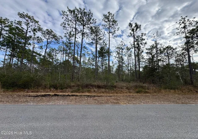 Homes for sale in Southport, NC | Lot 22 Pepperhill Rd, Southport, NC 28461 | MLS# 100547437