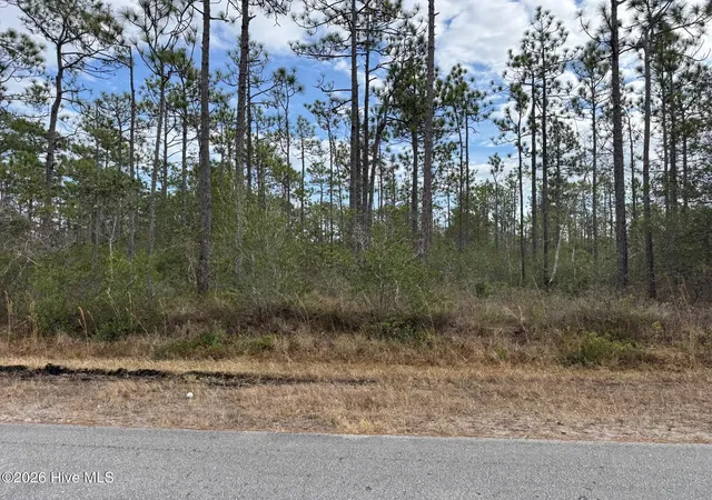 Homes for sale in Southport, NC | Lot 22 Pepperhill Rd, Southport, NC 28461 | MLS# 100547437