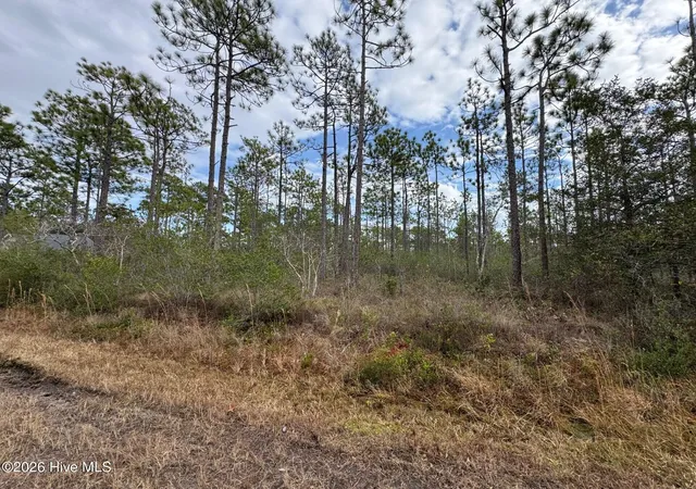 Homes for sale in Southport, NC | Lot 22 Pepperhill Rd, Southport, NC 28461 | MLS# 100547437