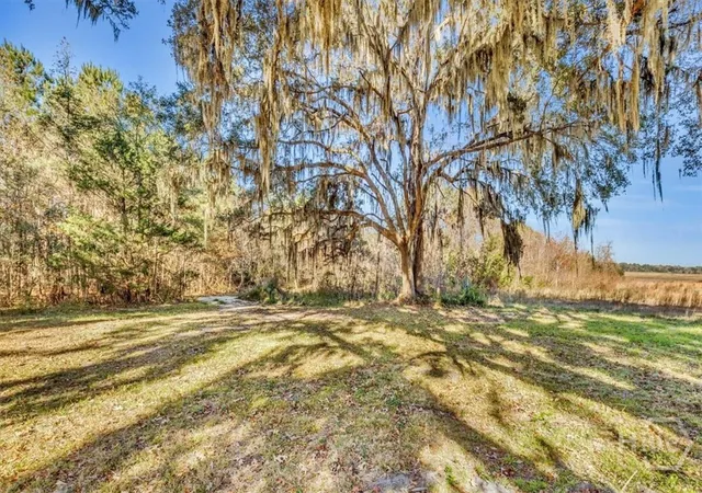 Photo 2 of Land for sale at 580 Old Gress Is Rd, Midway, GA 31320 | MLS# SA360339 | Listing updated on 2026-08-12