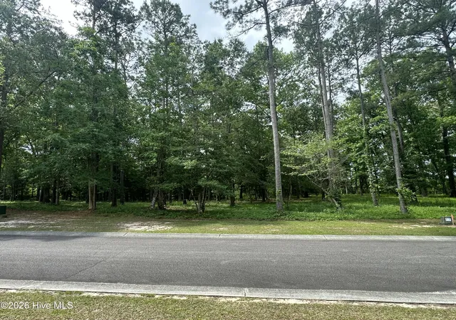 Photo 4 of Land for sale at 201 Lockhaven Dr SE, Bolivia, NC 28422 | MLS# 100576077 | Listing updated on 2026-05-28