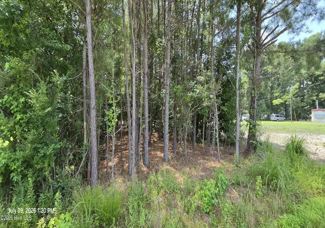 4th image of 950 Drum Hill Rd, Gates, NC 27937 | MLS# 100587550