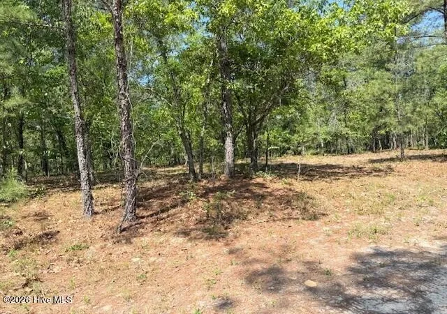 Homes for sale in Vass, NC | 1028 Sorrell Dr, Vass, NC 28394 | MLS# 100569605