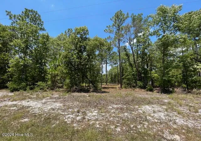 Photo 5 of Land for sale at 0 Bear Branch Dr, Currie, NC 28435 | MLS# 100588279 | Listing updated on 2026-08-24