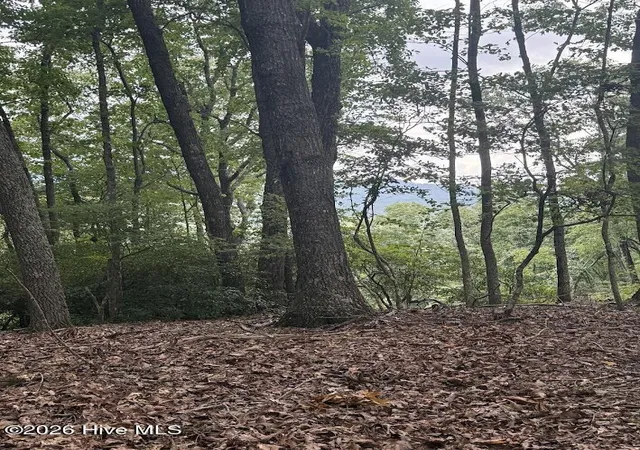Photo 1 of Land for sale at Lot 43 Pine Cvs Ln, Murphy, NC 28906 | MLS# 100591281 | Listing updated on 2026-09-06