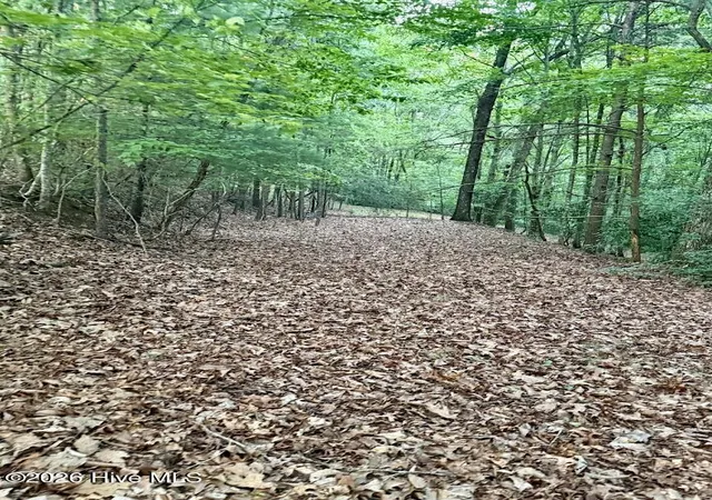 Photo 2 of Land for sale at Lot 43 Pine Cvs Ln, Murphy, NC 28906 | MLS# 100591281 | Listing updated on 2026-09-06