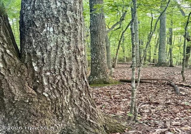 Photo 3 of Land for sale at Lot 43 Pine Cvs Ln, Murphy, NC 28906 | MLS# 100591281 | Listing updated on 2026-09-06