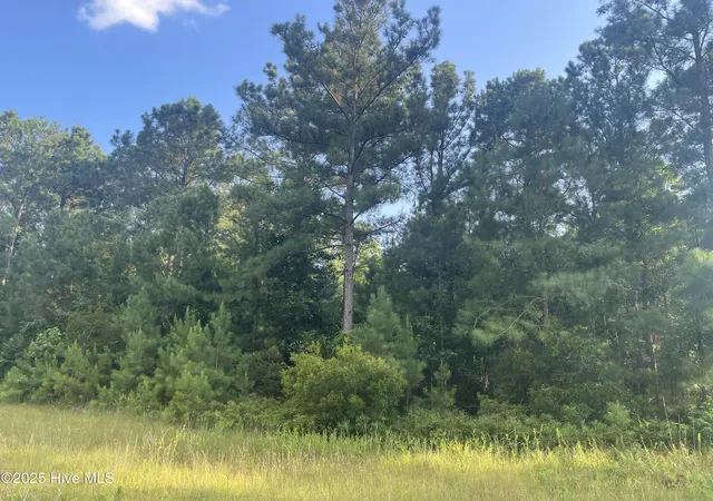 Photo 1 of Land for sale at 61 Arant Farm Rd, Merritt, NC 28556 | MLS# 100520608 | Listing updated on 2026-07-02
