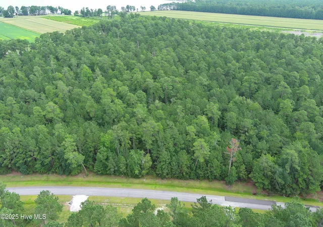 Photo 4 of Land for sale at 61 Arant Farm Rd, Merritt, NC 28556 | MLS# 100520608 | Listing updated on 2026-07-02