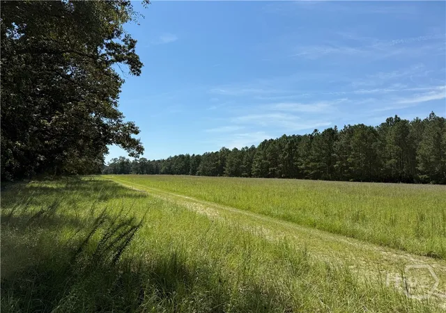 Homes for sale in Claxton, GA | 0 Sunbury Rd #Tract 6, Claxton, GA 30417 | MLS# SA339082