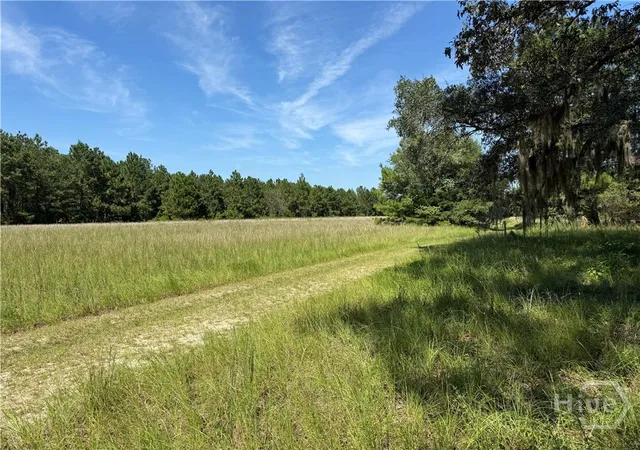 Homes for sale in Claxton, GA | 0 Sunbury Rd #Tract 6, Claxton, GA 30417 | MLS# SA339082